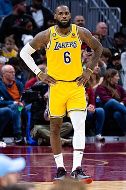 LeBron James Player Development