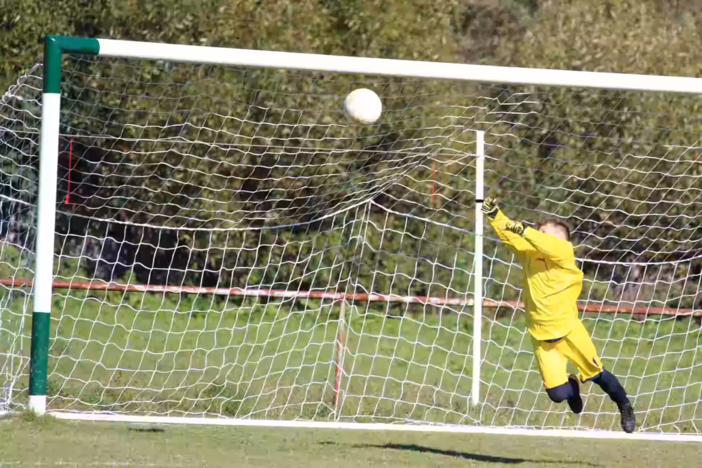 Goalkeeper Training at Home